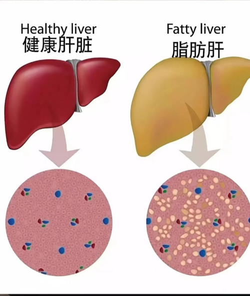 1716342730964019271.png 图片 3.png