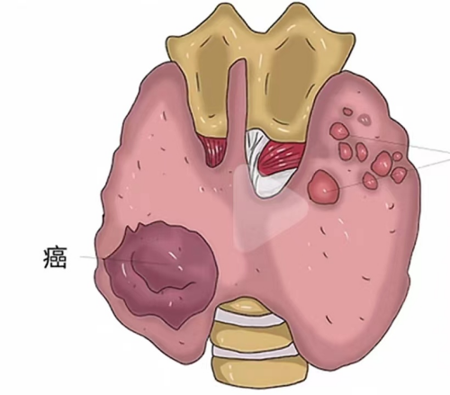 1716342975338015186.png 图片 7.png