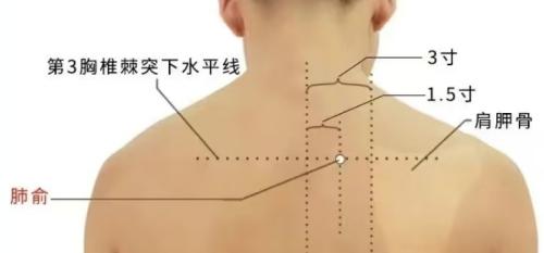 1726102015739067247.jpg WPS图片(1).jpg