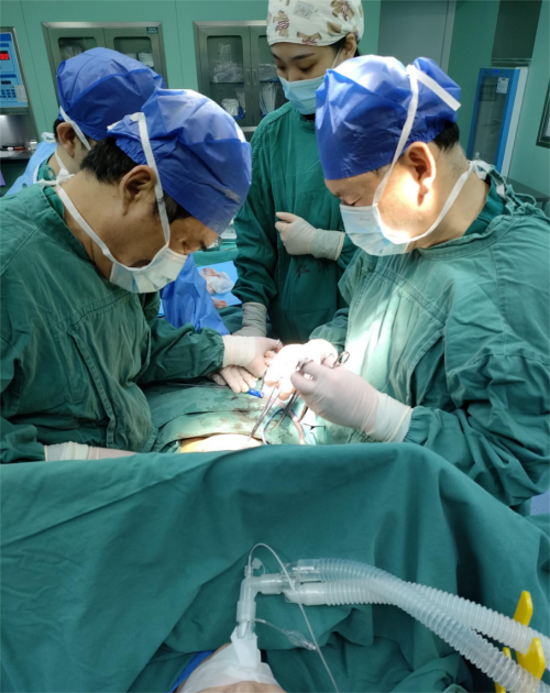 1757583213986097671.png 图片 1.png