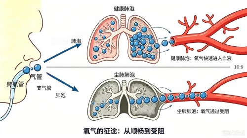 图片 2.jpg